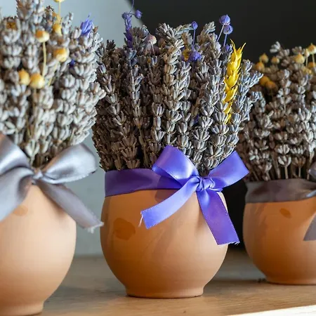 Emotheo Heritage Hotel