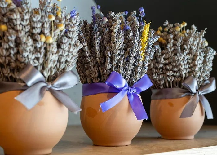 Emotheo Heritage Hotel